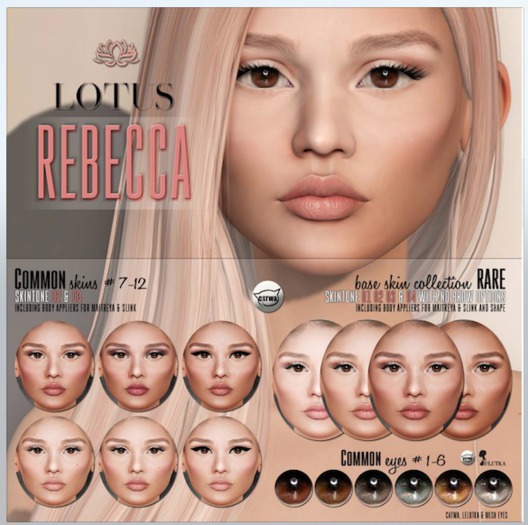 LOTUS. 07 Rebecca Skin (tone 03) BOX