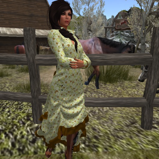 STELLA'S OLD WEST~ SUMMERY FLOWERS OLIVE{ BOXED}