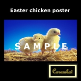 Easter - chicken poster