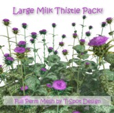 T-Spot Mesh - Large Milk Thistle Pack (Silybum marianum) - Full Perm - LI=0.5-1.4