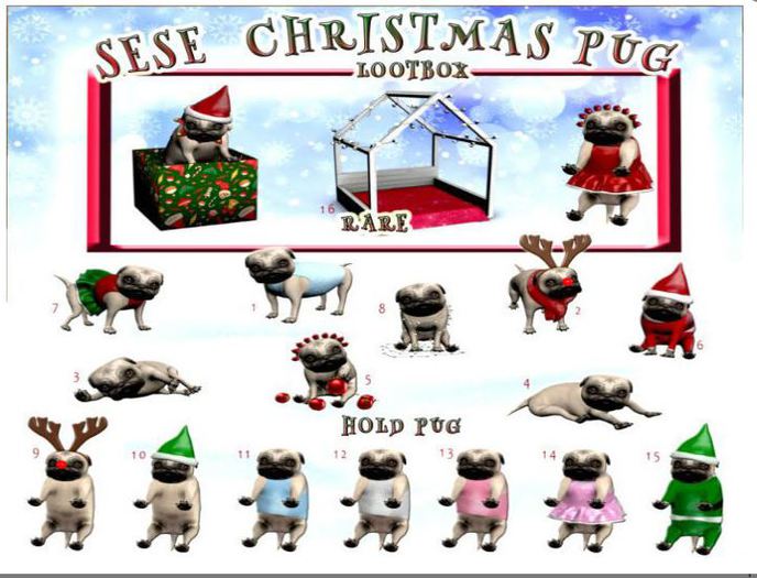 11. Sese - Christmas Pug Sweater Blue Holding