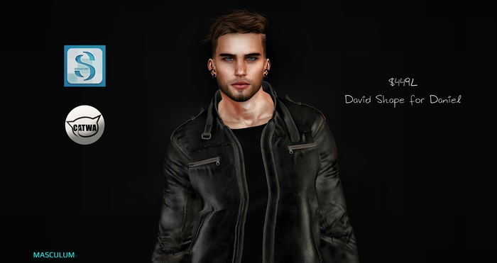**Masculum** David shape for Daniel Catwa