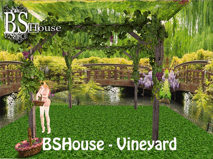 BShouse- Vineyard BOX