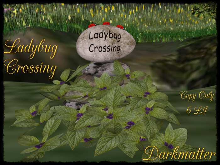 Ladybug Crossing - Black Text