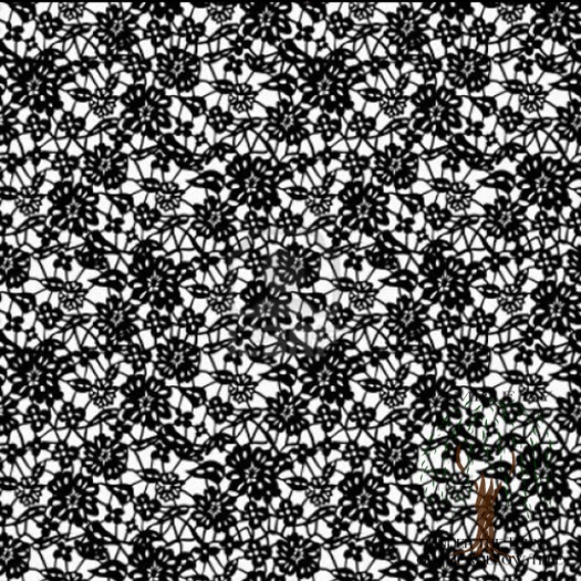 Lace 2 Black Texture