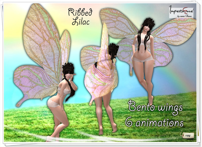 Butterfly wings Ribbed bento - Lilac