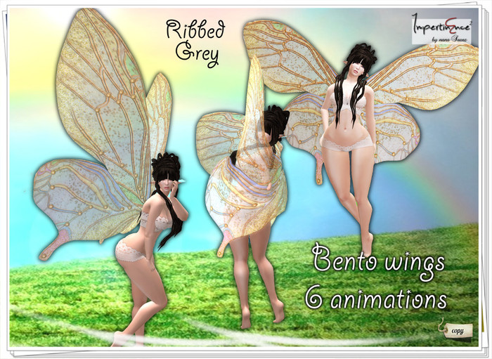 Butterfly wings Ribbed bento - Grey