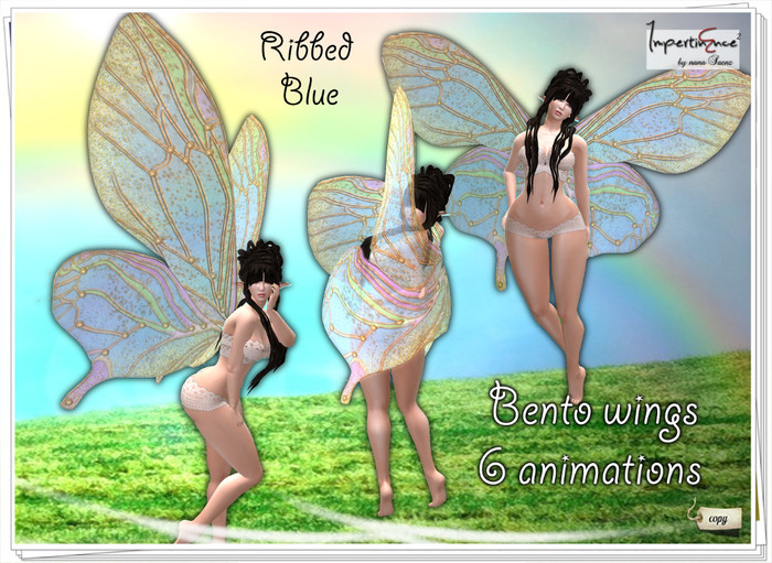 Butterfly wings Ribbed bento - Blue