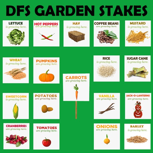 DFS GARDEN STAKES BOXED