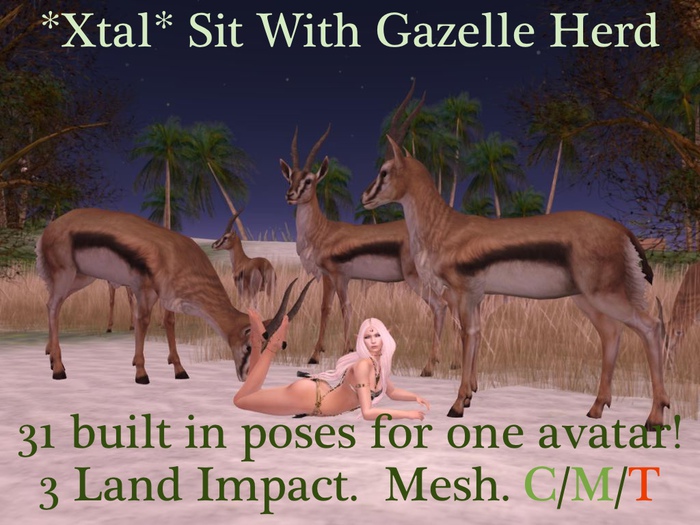 *Xtal* Sit With Gazelle Herd