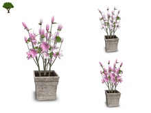 ~ xantes ~ Magnolia Pot - Pink -  Mesh (wear to unpack) BOX