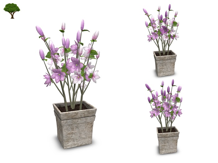 ~ xantes ~ Magnolia Pot - Lila -  Mesh (wear to unpack) BOX