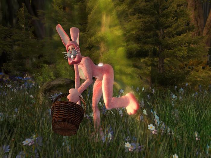 Easter Basket from Brunhilde (just wear)