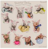 Bunny gacha 07 - box bunny RARE