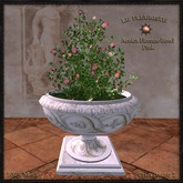 F*Firenze Bowl Pink