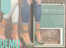 Addams "Jane" Case Heel Mesh Shoes -Maitreya, Belleza, Slink #DEMO