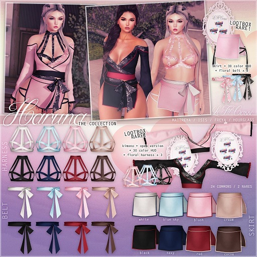 {le fil casse} Haruna Bow Belt Maitreya Navy