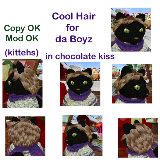 *Tiny B's Designs*Cool hair for da boyz chocolate kiss kittehs