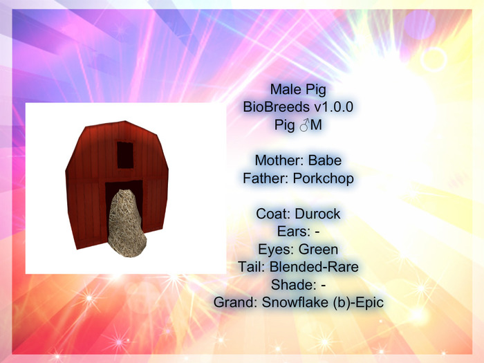 BB Pig Box