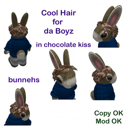 *Tiny B's Designs*Cool hair for da boyz chocolate kiss bunnehs