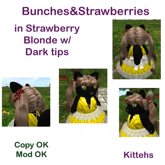 *Tiny B's Designs*Bunches&Strawberries in strawb blonde drk tip