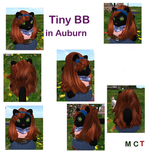 *Tiny B's Designs*Tiny BB in Auburn