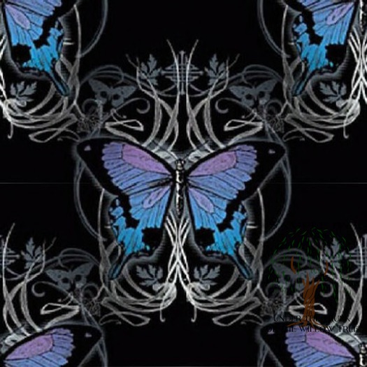 Butterfly12