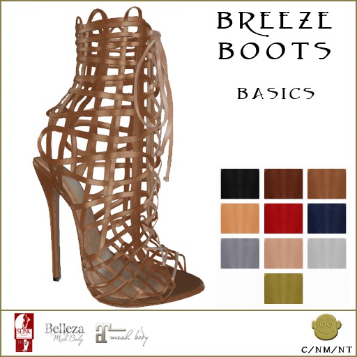 BM Breeze Boots Basics DEMO