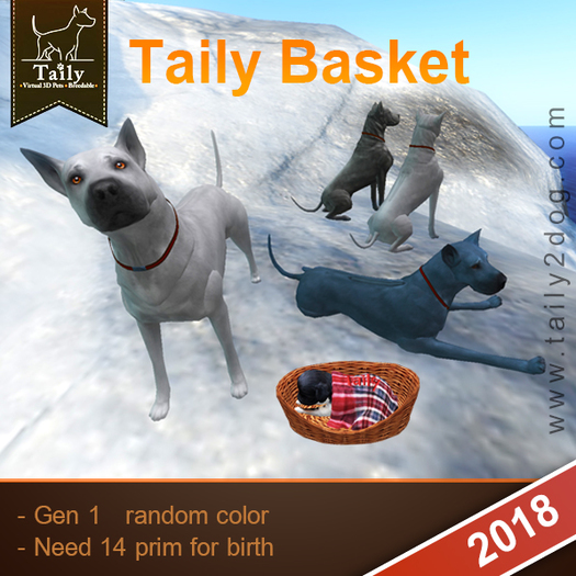 Taily Basket Gen 1  :  random