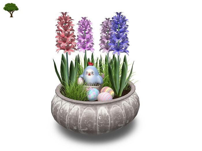 ~ xantes ~ Easter Hyacinth Pot Enna (wear to unpack) BOX