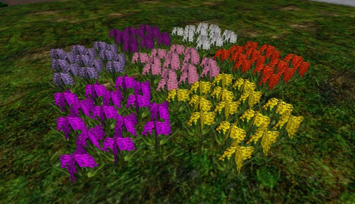 Color Change Hyacinth