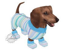 JIAN Wonky Weenies :: Cute AF PJs Companion (BOX)