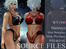 [WY] Full Perm 19 Source Files Lingerie