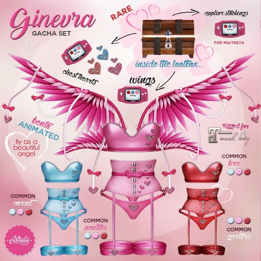 Astralia - Ginevra (red bra) Common