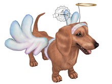 JIAN Wonky Weenies :: Angel Wanderer (BOX) RARE