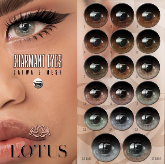LOTUS. Charmant Eyes 16 RARE