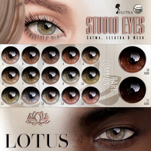 LOTUS. Studio Eyes 17 RARE