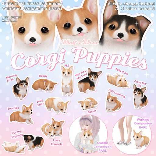 +Half-Deer+ Corgi Puppy - Half Listening