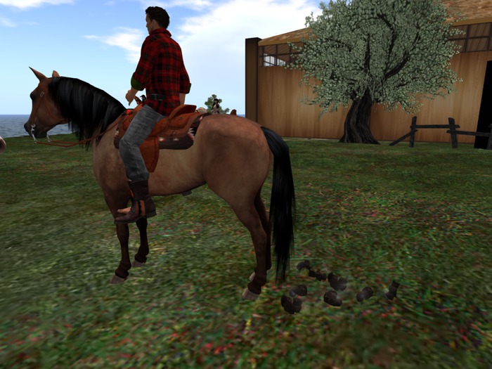 Steaming Horse Poo