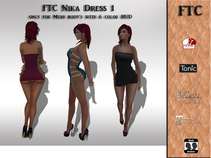FTC Nika Dress 2