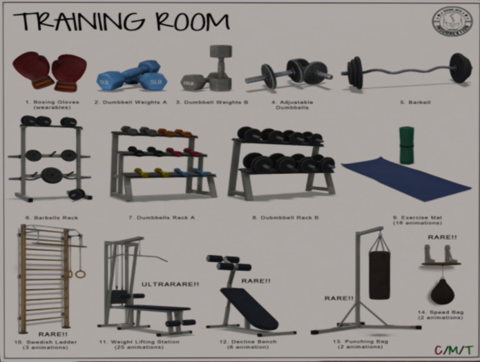 [IK] Training Room - 14. Speed Bag - RARE (boxed)