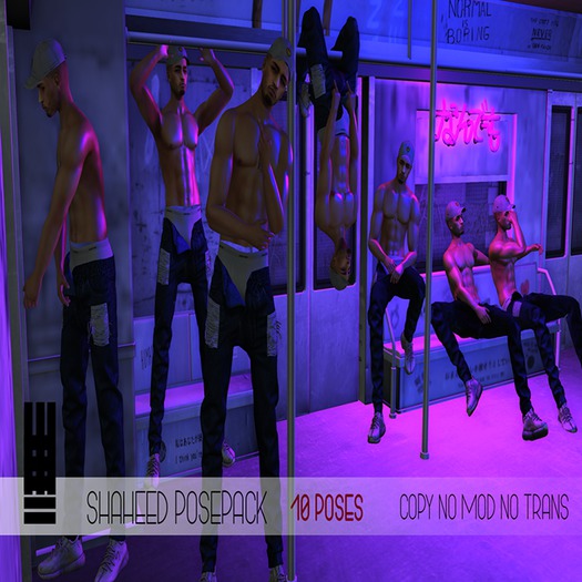 M E R C H- SHAHEED POSEPACK