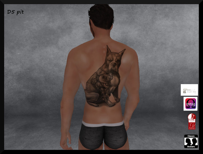 N26 pit 2 Custom M&C tattoo