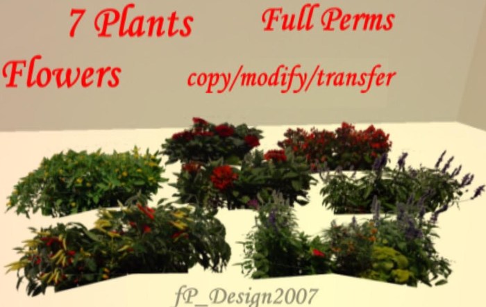 7 Flower Plants