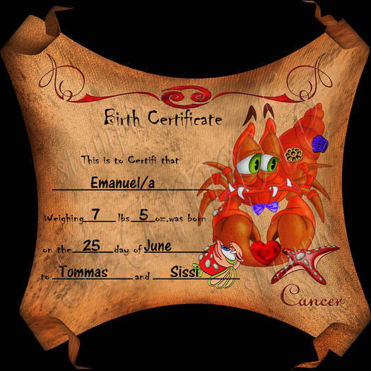 **BIRTH CERTIFICATE CANCER