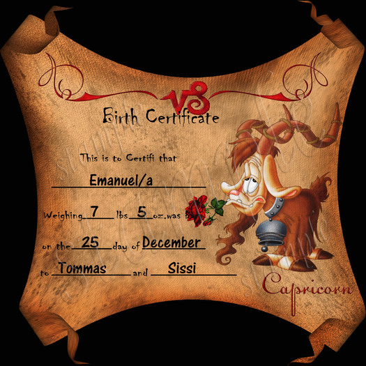 **BIRTH CERTIFICATE CAPRICORN
