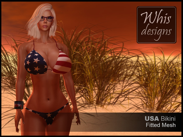 Whis Designs ♦ Fitted Mesh USA Simple Bikini