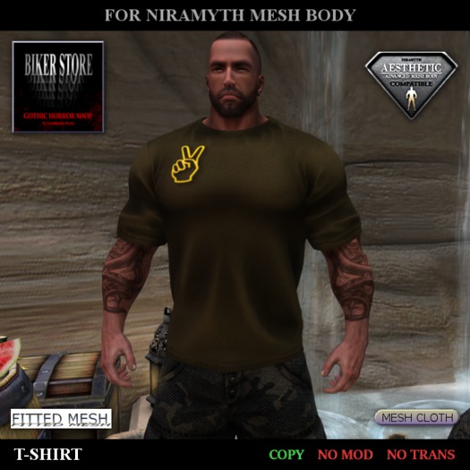 #Aesthetic T-Shirt "VICTORY"