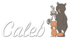 Kids Room Wall Decor - Custom Name - Forest Friends