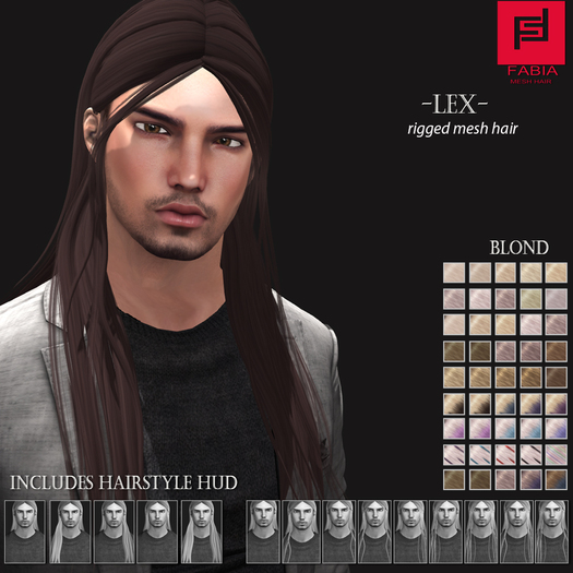 -FABIA-   <Lex> Hairstyler Blond